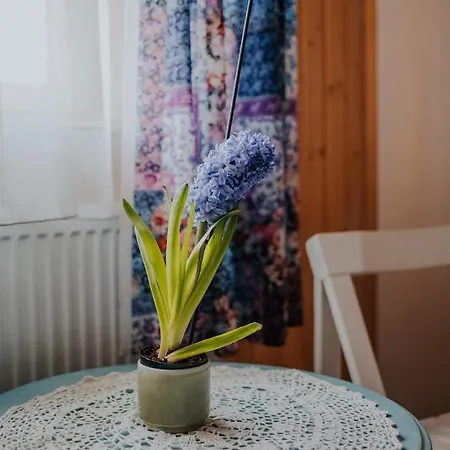 Sowia Stopka Miłomłyn