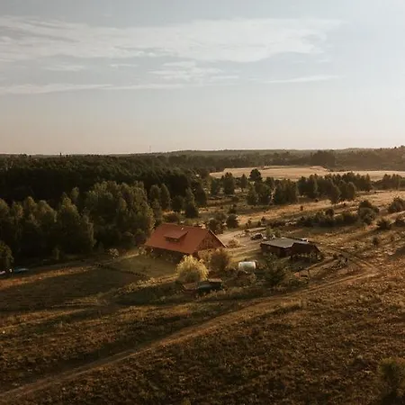 Sowia Stopka Miłomłyn