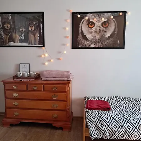 Farma Sowia Stopka Miłomłyn