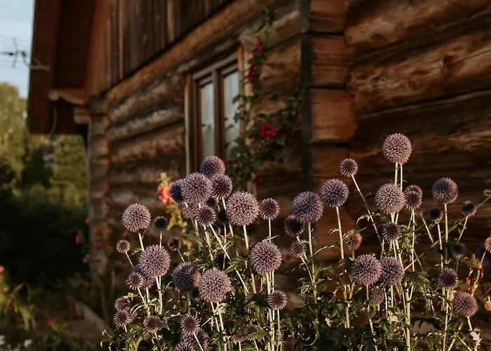 Sowia Stopka * Milomlyn